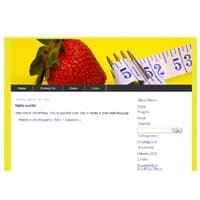 5 Thèmes du site Web Vol1