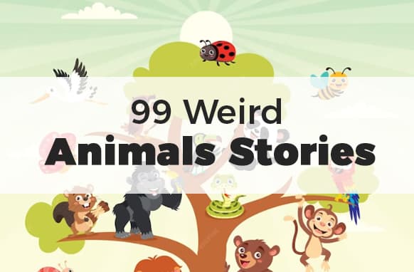 99 histoires d'animaux bizarres