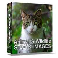 Images des stocks d'animaux et de faune