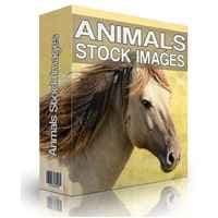 Images des stocks d'animaux