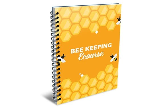 Cours de maintien de l'abeille