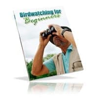 Observation des oiseaux pour les débutants