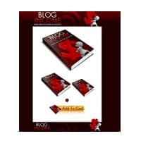 Paquet Minisite Blogging