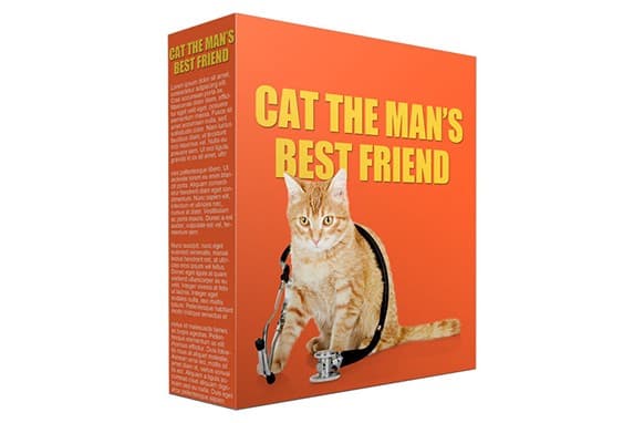 Cat Mans Meilleur ami PLR Articles