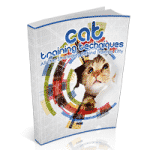 Techniques de formation des chats