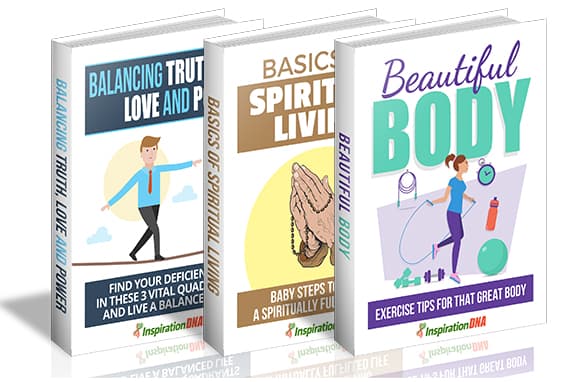 Collecte de 3 volumes 1
