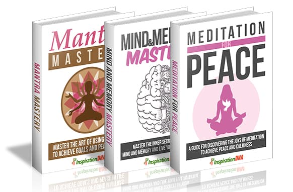 Collecte de 3 volumes 12