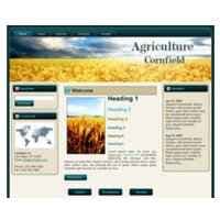 Thème du WP de Cornfield