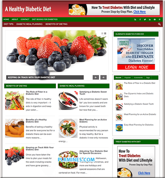 Diabétique Diet Niche PLR Site web