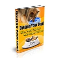 Alimenter votre chien