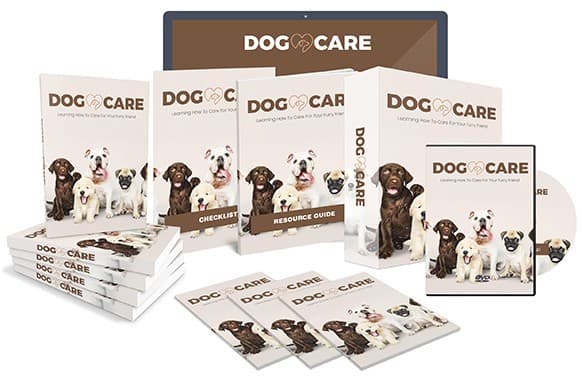 Soins aux chiens