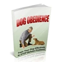 Obédience du chien