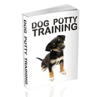 Entraînement au pot de chien
