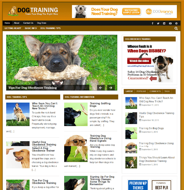 Blog d'entraînement de chiens PLR