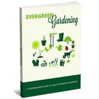 Jardinage Evergreen