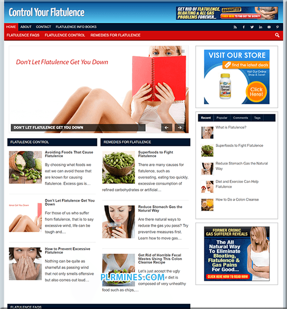 Flatulence Control PLR Site Web
