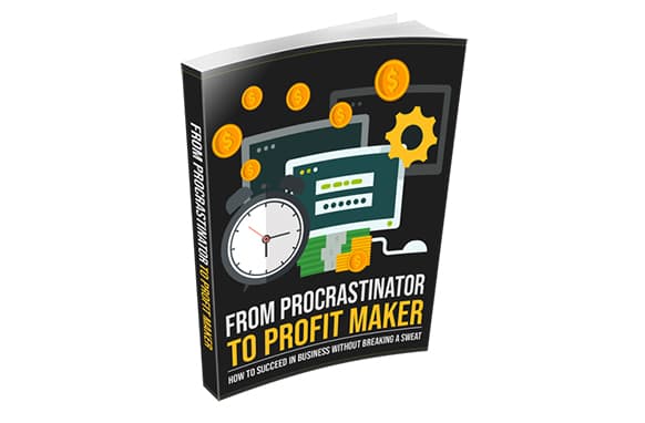De Procrastinator à Profit Maker