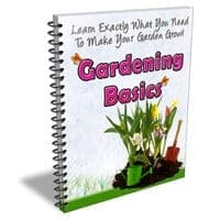 Newsletter Jardinage Basics