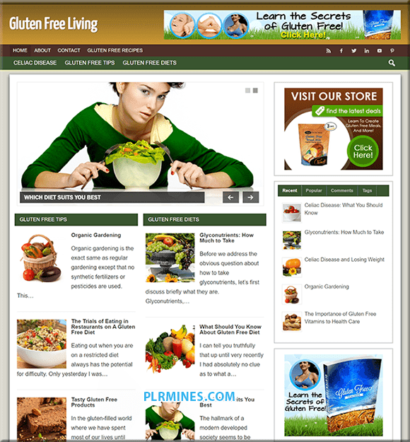 Recettes sans gluten Premade Blog