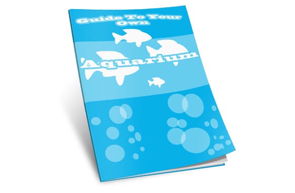 Guide de votre aquarium