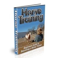 Formation des chevaux