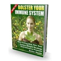 Comment renforcer votre système immunitaire