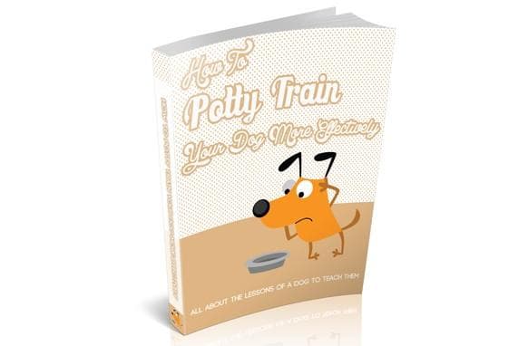 Comment former votre chien plus efficacement