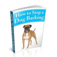 Comment arrêter un chien Barking