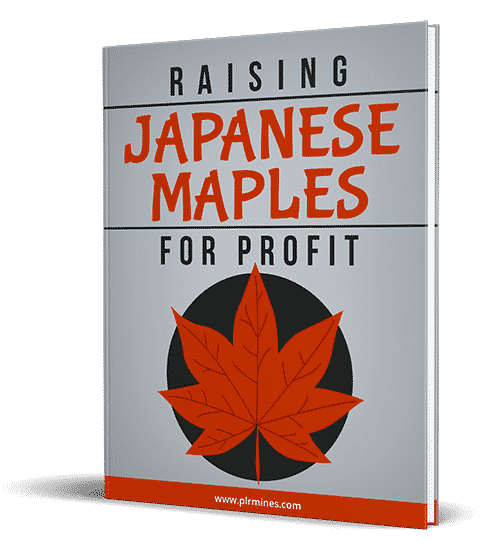 Les érables japonais à but lucratif
