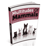 Multitudes de mammifères