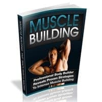 Bâtiment des muscles
