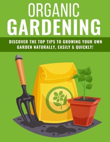 Conseils pour le jardinage biologique 2020
