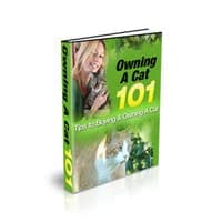 Posséder un chat 101