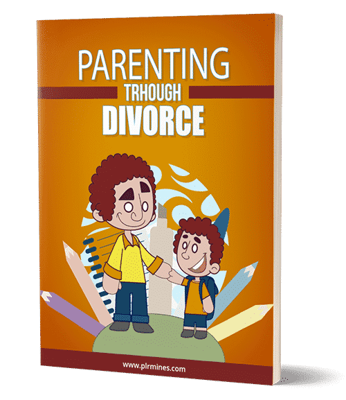 Parenting through Divorce
- nouvelle édition