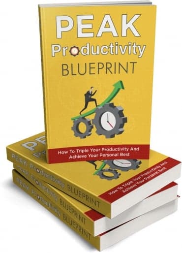 Productivité maximale
