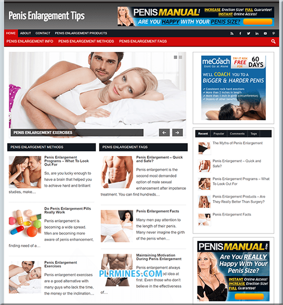 Penis Enlargement Niche WordPress Site web