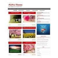 Thème WordPress Picpro