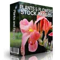 Plantes et Fleurs Stock Images