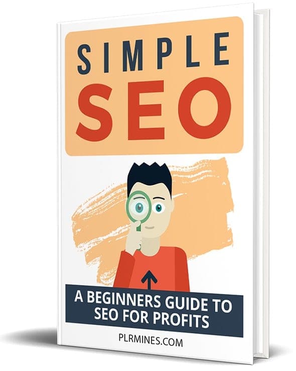Livre électronique SEO simple