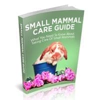Guide de soins aux petits mammifères