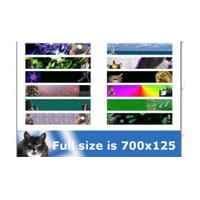 Paquet de design Web Success Graphics