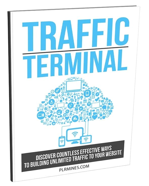 Terminal de trafic