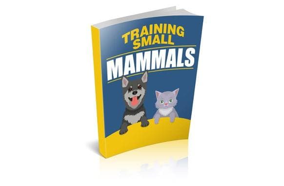 Formation des petits mammifères