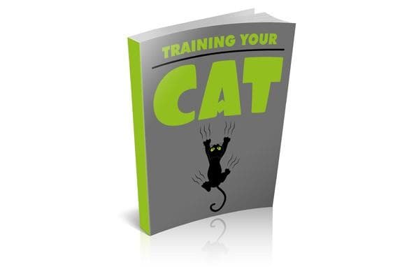 Entraîner votre chat