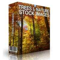 Arbres et images de stock de la nature