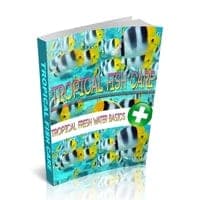 Soins aux poissons tropicaux