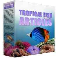 Teneur en PLR de poissons tropicaux