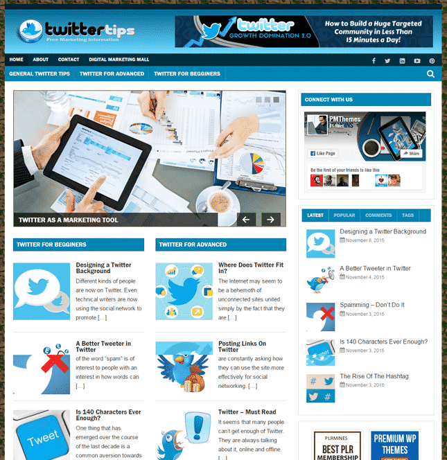 Twitter Niche PLR Blog