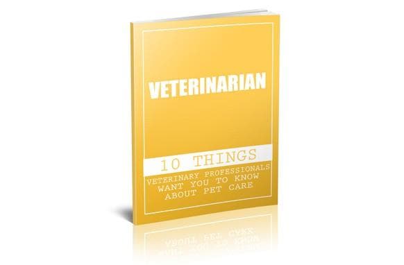 Vétérinaire