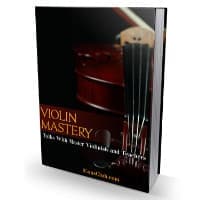 Maîtrise du violon